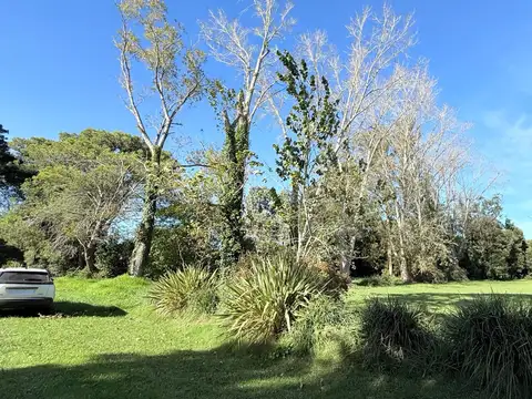 Terreno - La Armonía