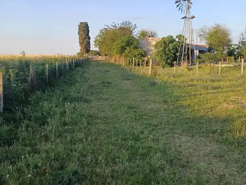 Campo en Venta de 40  ha