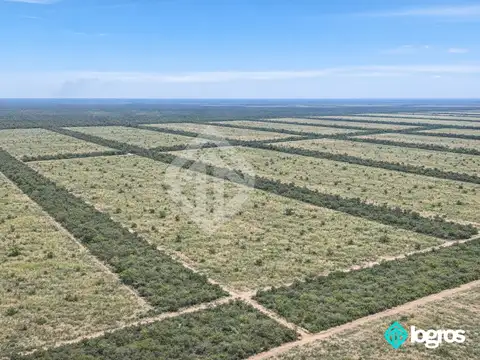 Martinez del Tineo 100