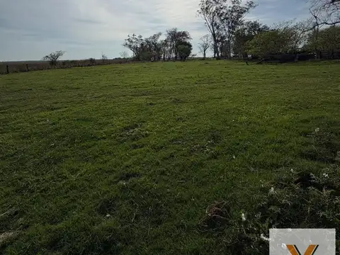 Campo en Alquiler -  - mts - Concepcion - Corrientes