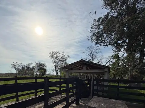 Campo en Alquiler -  - mts - Concepcion - Corrientes