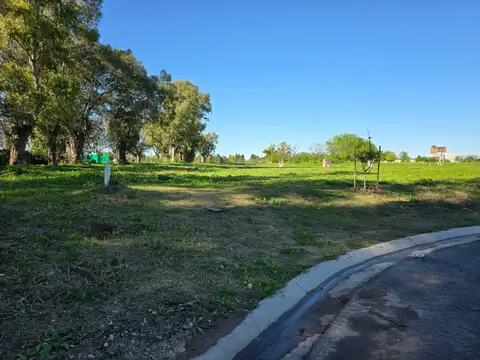 Dr. Manuel Argerich 1200