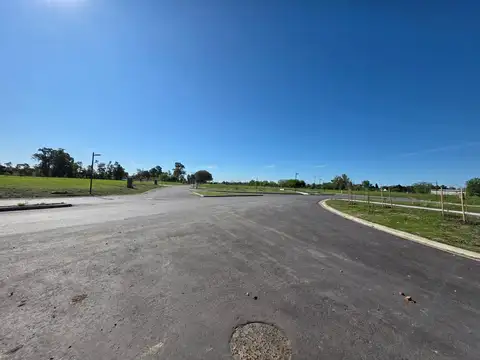 Dr. Manuel Argerich 1200