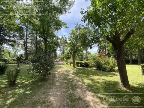 Quinta en Venta en Florencio Varela, USD 162.000