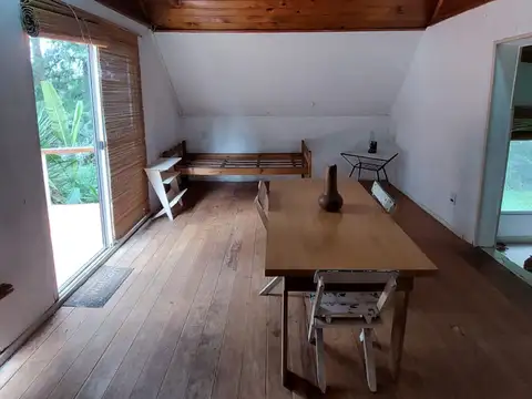 río carapachay delta tigre