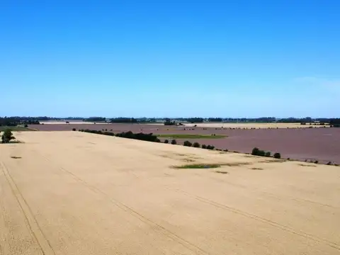 Venta 5 Hectáreas Carlos Keen (cerca de Emilio Mitre)