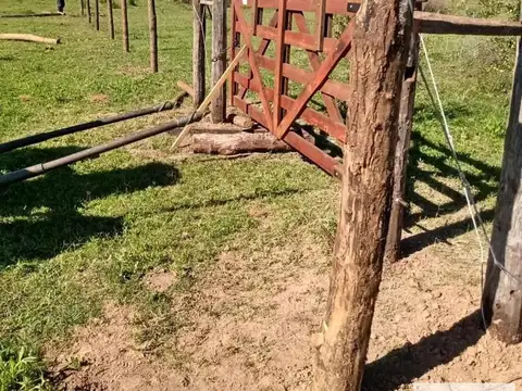 Campo en venta - 11.870.000mts2 - Entre Ríos