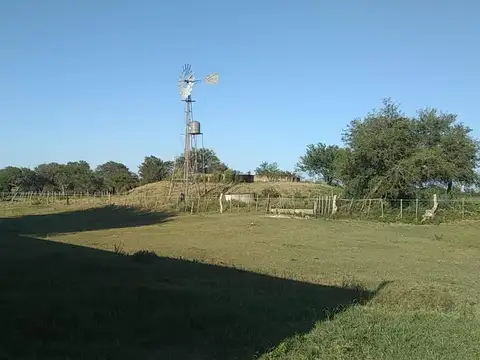 Campo en Venta Ganadero