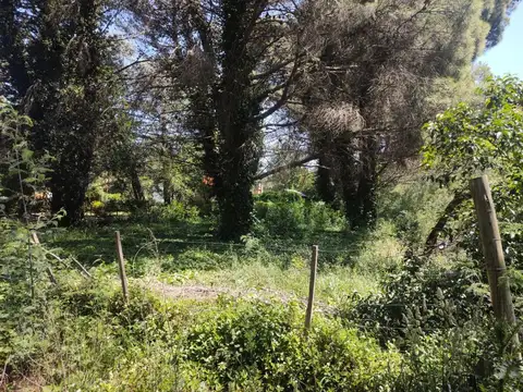 VENTA. LOTE DE 1000M2 EN VILLA VENTANA