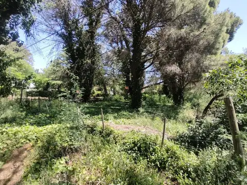 Terreno en Venta de 1015,0 m2