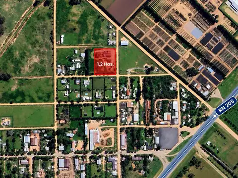 LOTE AMPLIO 1,2 HA. - 3 AMPLIAS OFICINAS  - FORESTADO - INGRESO POR 2 CALLES - LOBOS