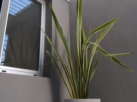 Depto Tipo Casa en Venta en Ramos Mejia, USD 190.000