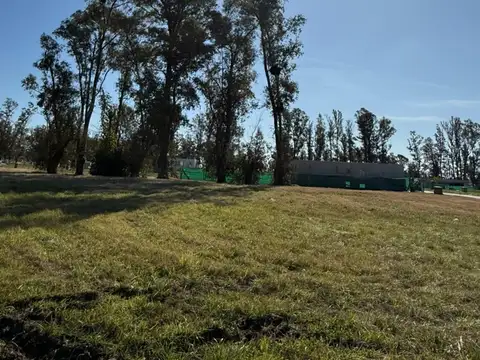 Santa Sofía Pilar del Este 100