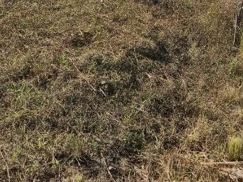 Terreno en Venta en Villa San Nicolás, USD 12.500
