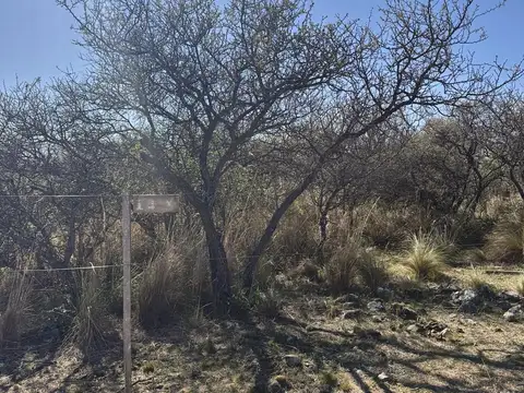 Terreno en Venta de 682,0 m2