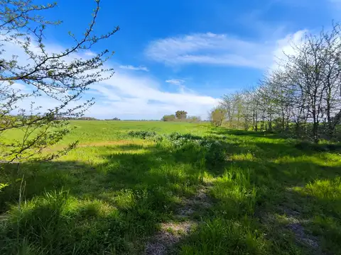 Campo en Venta de 35  ha