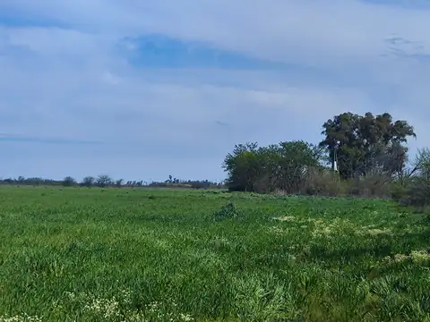 Campo en Venta de 35  ha