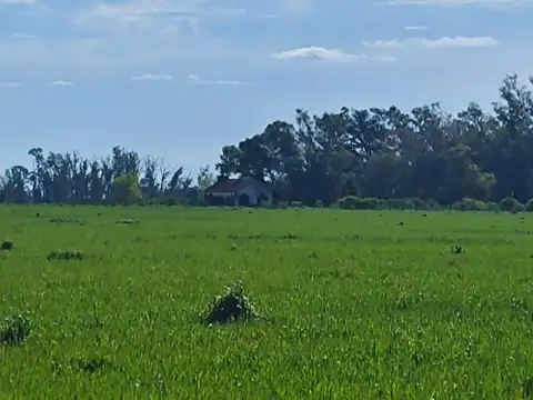 35 Has Agricolas en Lujan Ruta 47
