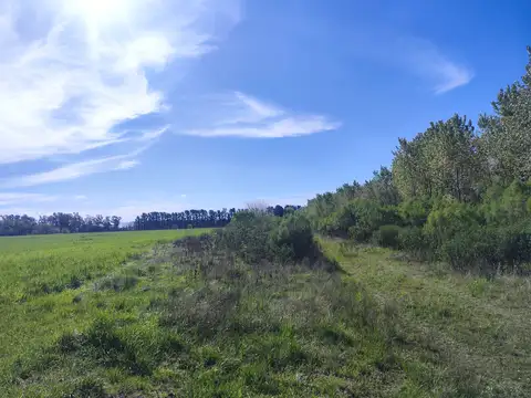 Ruta 47
