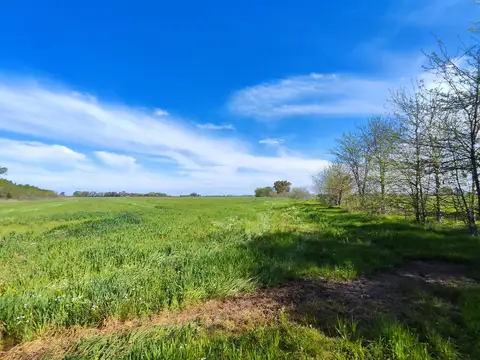 35 Has Agricolas en Lujan Ruta 47
