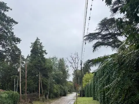 Guayquiraro 100