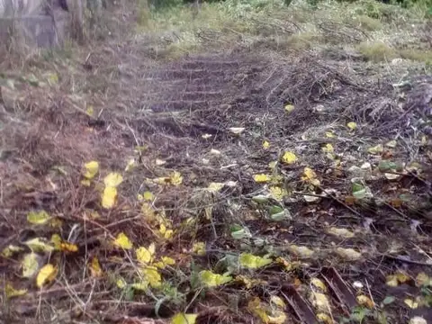 Automovil Club Argentino 100