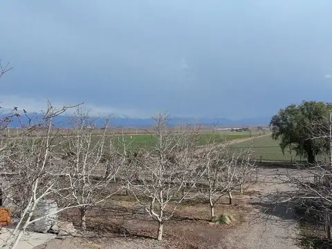 Finca de 10 hectáreas en venta Corredor Productivo Ruta 99 Tupungato.