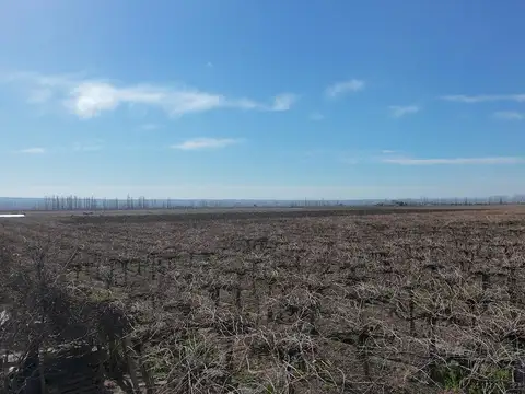 Ruta Provincial N°99 y Calle N°6 s/n