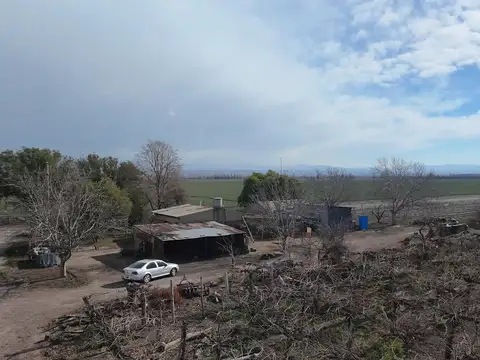 Finca de 10 hectáreas en venta Corredor Productivo Ruta 99 Tupungato.