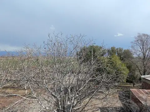 Finca de 10 hectáreas en venta Corredor Productivo Ruta 99 Tupungato.
