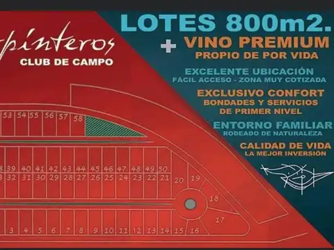 IMPORTANTE LOTE EN VENTA EN SAN RAFAEL