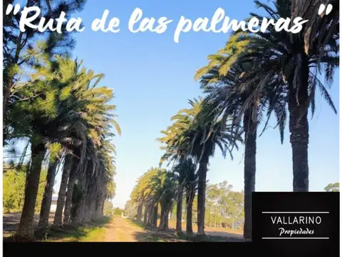 Loteo "Ruta de las Palmeras", San José.