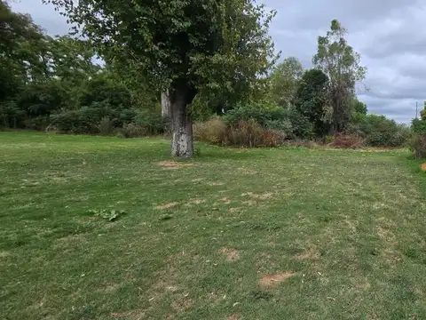 Terreno en Alquiler en Mercedes, USD 4.000