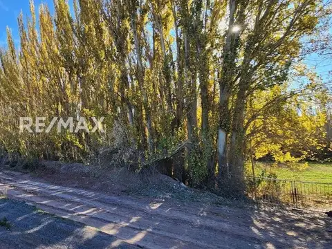 Terreno en Venta de 20186,0 m2
