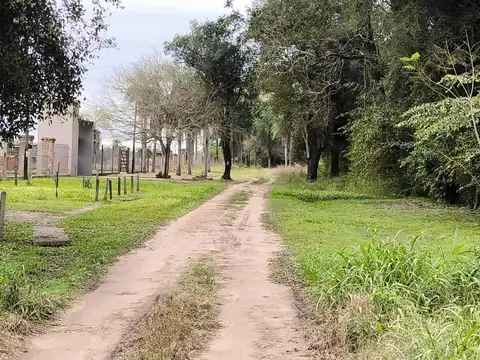 Country Doña Blanca-margarita Belen