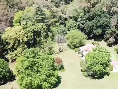 La Estela