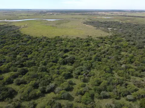 594 has agrícola ganadero con buena costa