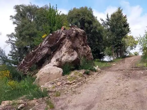 Terreno en Venta de 1000,0 m2