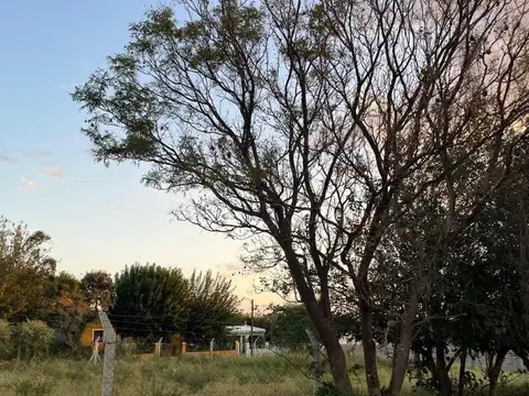 Mirabal