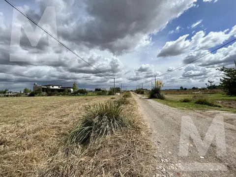 Lote con escritura - Arana