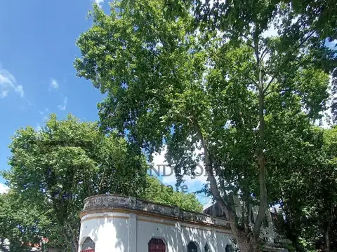 Av. Bruix al 4400