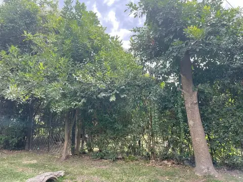 A Mts.de Colectora Panamericana Km 83,5