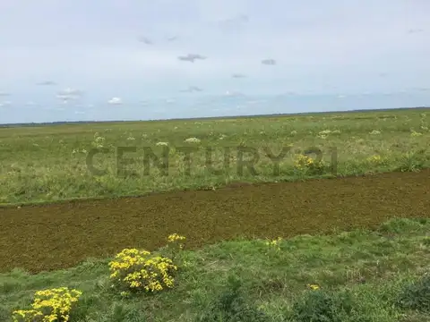 Venta de Campo, Isla en Baradero San Pedro, 6.800 Hectáreas