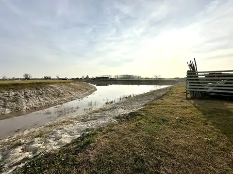 Terreno en Venta 40  mts Fondo