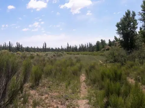 Chacra 8, Hectáreas, 25 de Mayo La Pampa