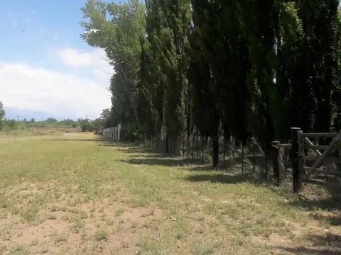 Campo en Venta Agrícola