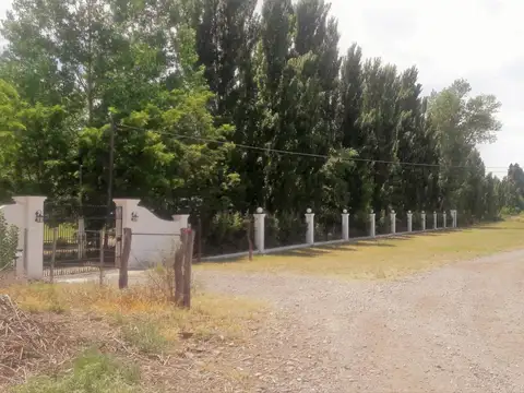 Chacra 8, Hectáreas, 25 de Mayo La Pampa
