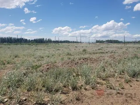 TERRENO ALTOS DE SENILLOSA