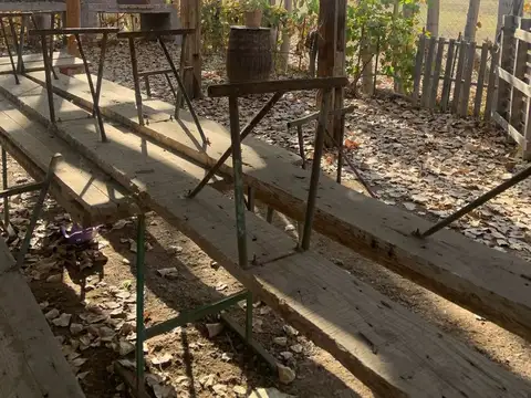 FINCA EN VENTA CORRALITOS, EN PRODUCCION