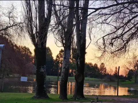 Terreno en Venta de 800,0 m2